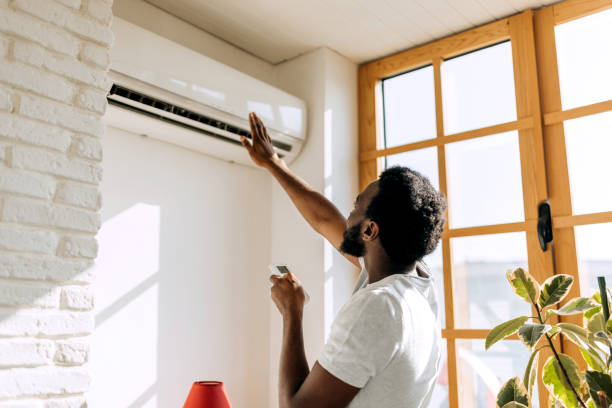 Best HVAC air duct cleaning  in Ferdand, IN
